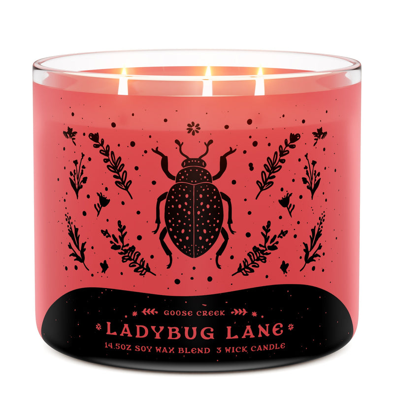 Ladybug Lane 3-Wick Candle (S24BM)